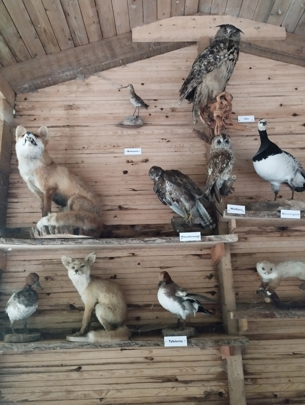 Blick in den Naturerlebnisbereich des Wildpark Malente