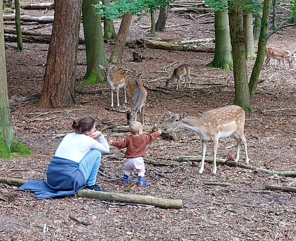 Naturerlebnisbereich im Wildpark Malente