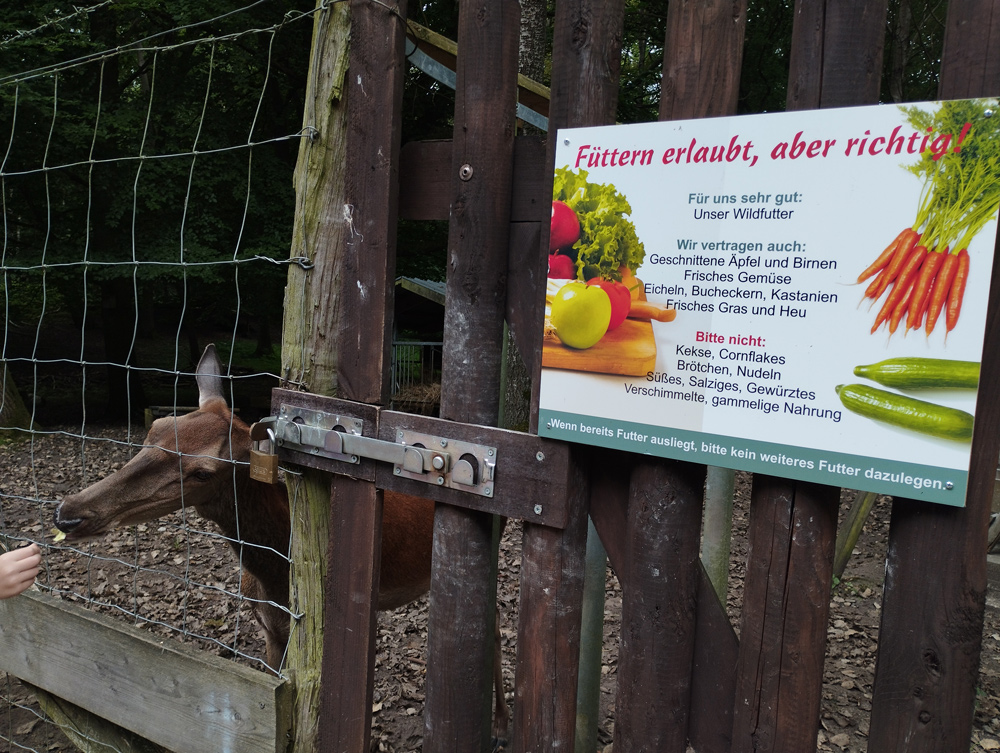 Tiere im Wildpark Malente